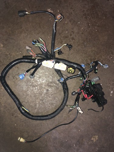 Ecu cablaggio motore per - motore,
