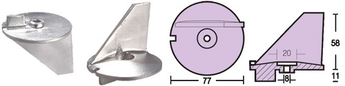 Anodo pinna - -, a